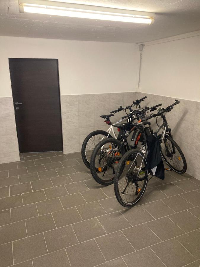Pension Sunnseitn - Gasthof - Cafe - Weinkeller Haslach an der Mühl Eksteriør bilde