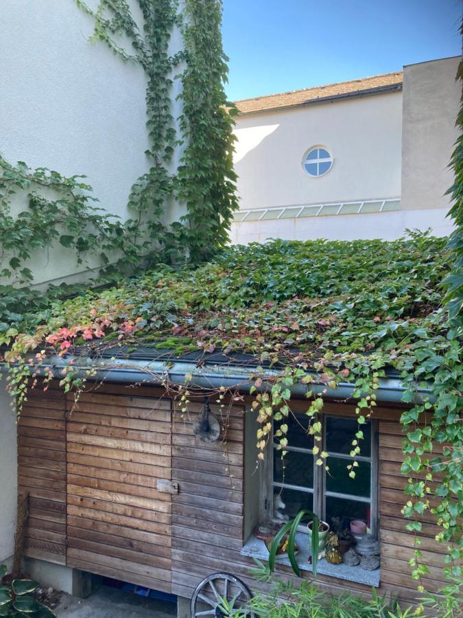 Pension Sunnseitn - Gasthof - Cafe - Weinkeller Haslach an der Mühl Eksteriør bilde