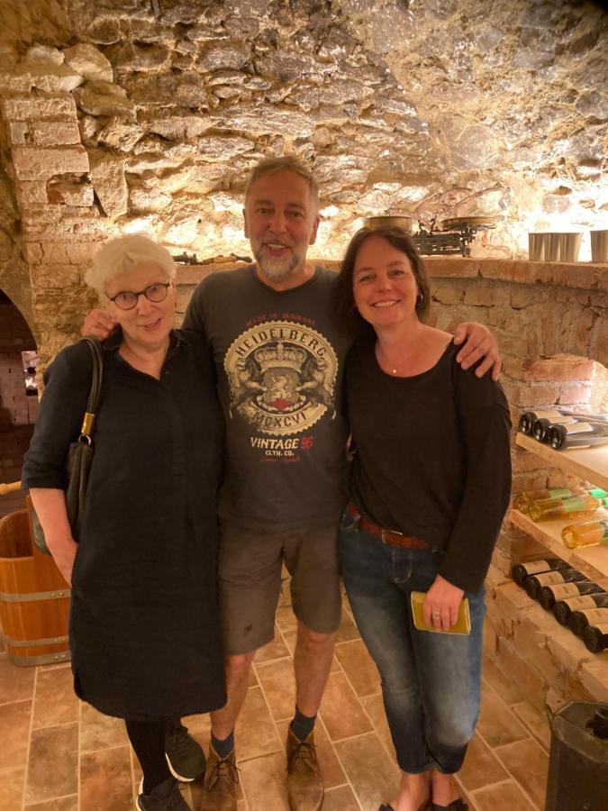 Pension Sunnseitn - Gasthof - Cafe - Weinkeller Haslach an der Mühl Eksteriør bilde